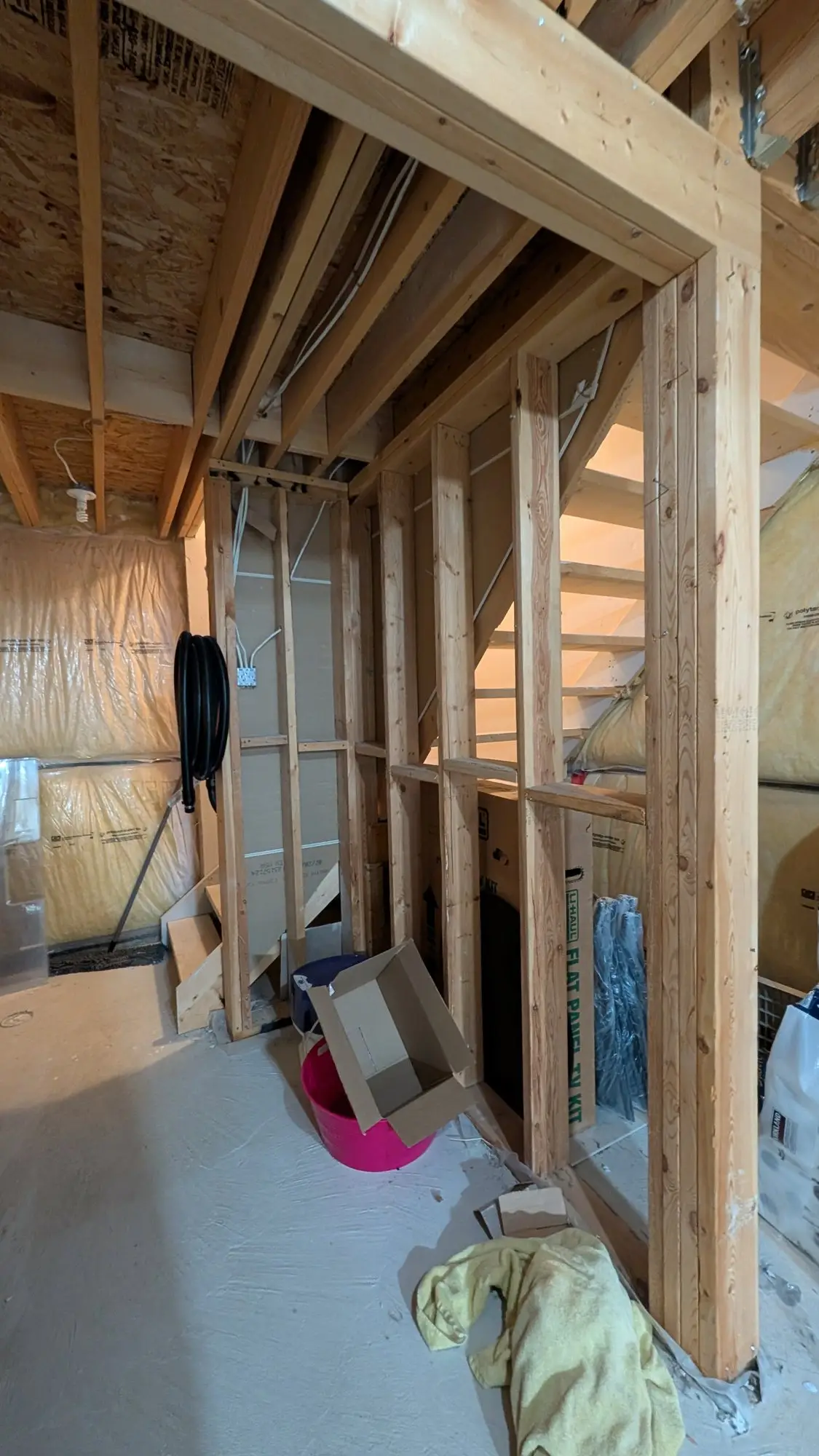 Bare framing and services in the unfinished basement
