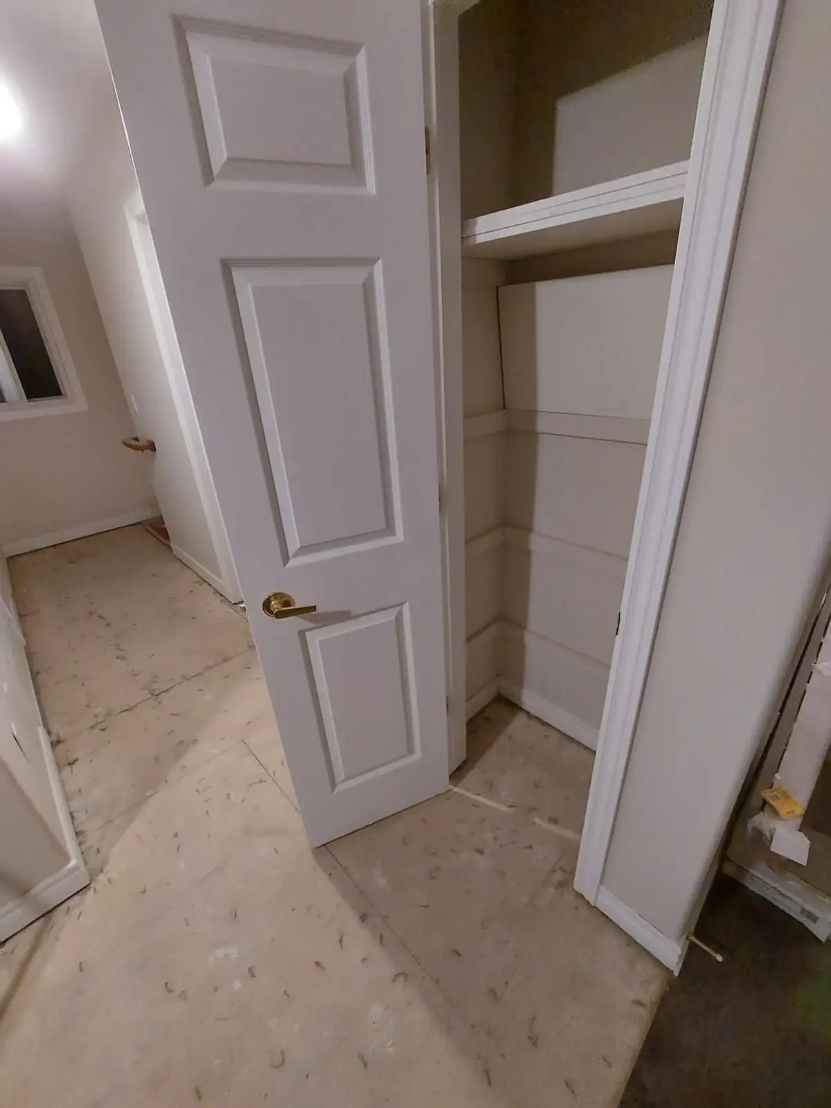 Finishing — Interior view of a closet with installed shelving and a paneled door.